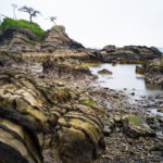 三浦半島 荒崎海岸（神奈川県）
